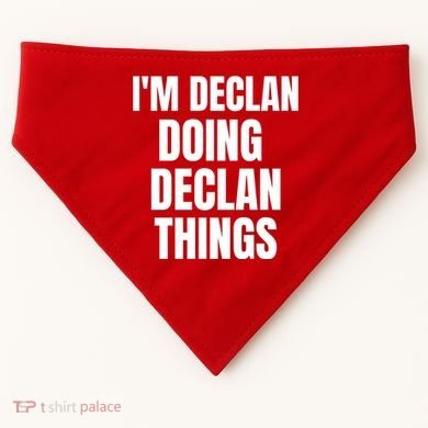 IM Declan Doing Declan Things Funny Birthday Name Gift USA-Made Doggie Bandana