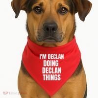 IM Declan Doing Declan Things Funny Birthday Name Gift USA-Made Doggie Bandana thumb 1