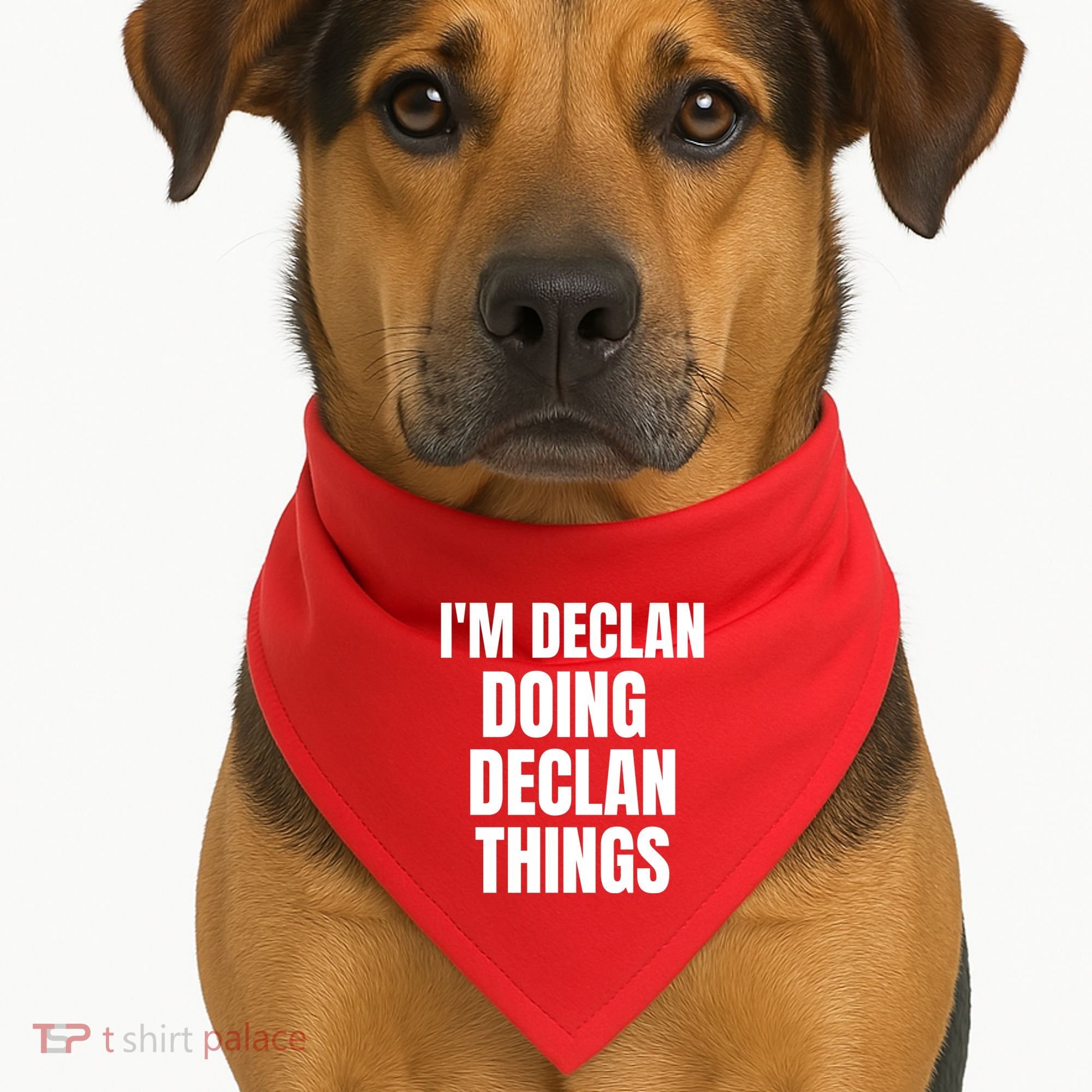 IM Declan Doing Declan Things Funny Birthday Name Gift USA-Made Doggie Bandana