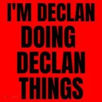 IM Declan Doing Declan Things Funny Birthday Name Gift Santa Hat thumb 1