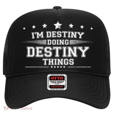 Im Destiny Doing Destiny Things Hat