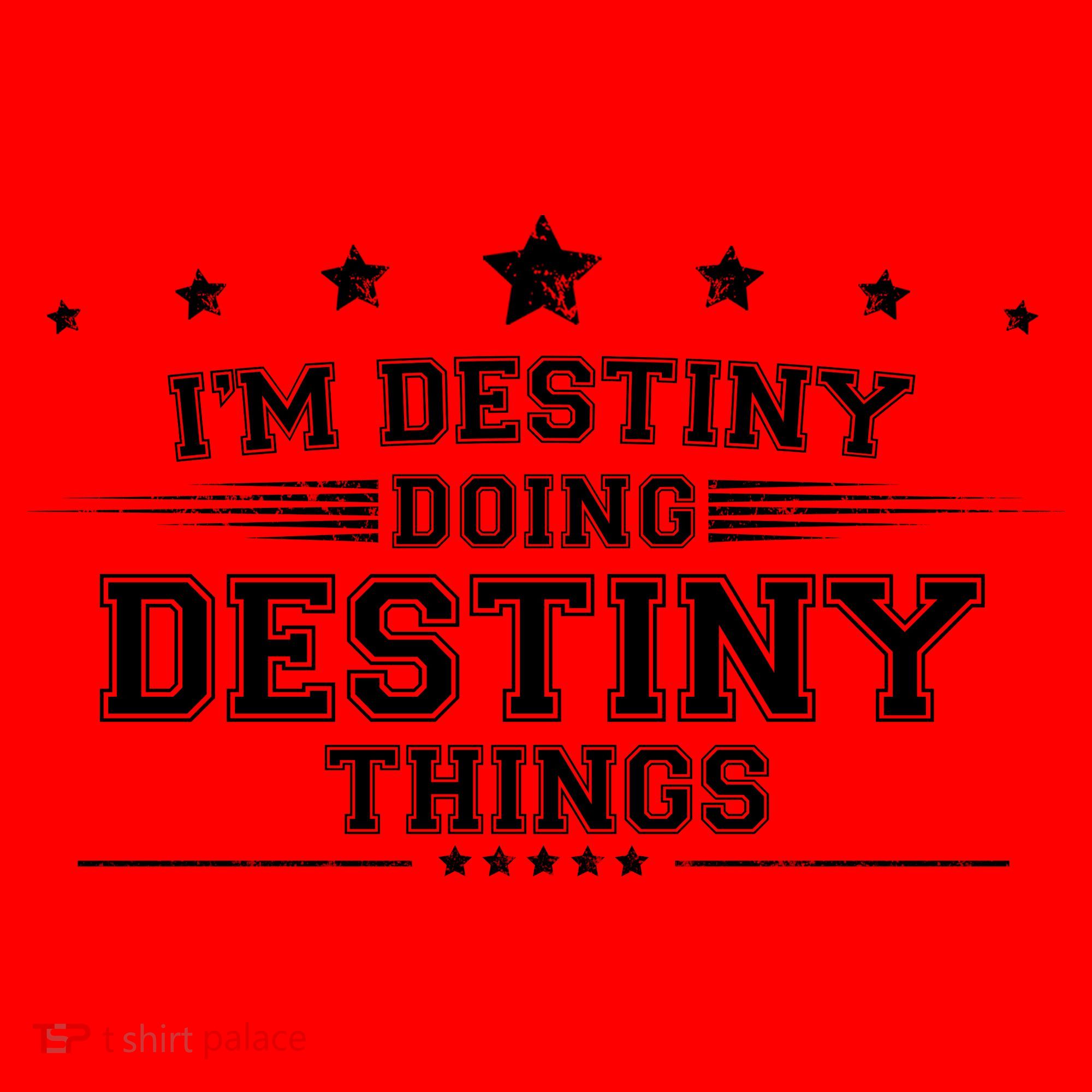 Im Destiny Doing Destiny Things Santa Hat
