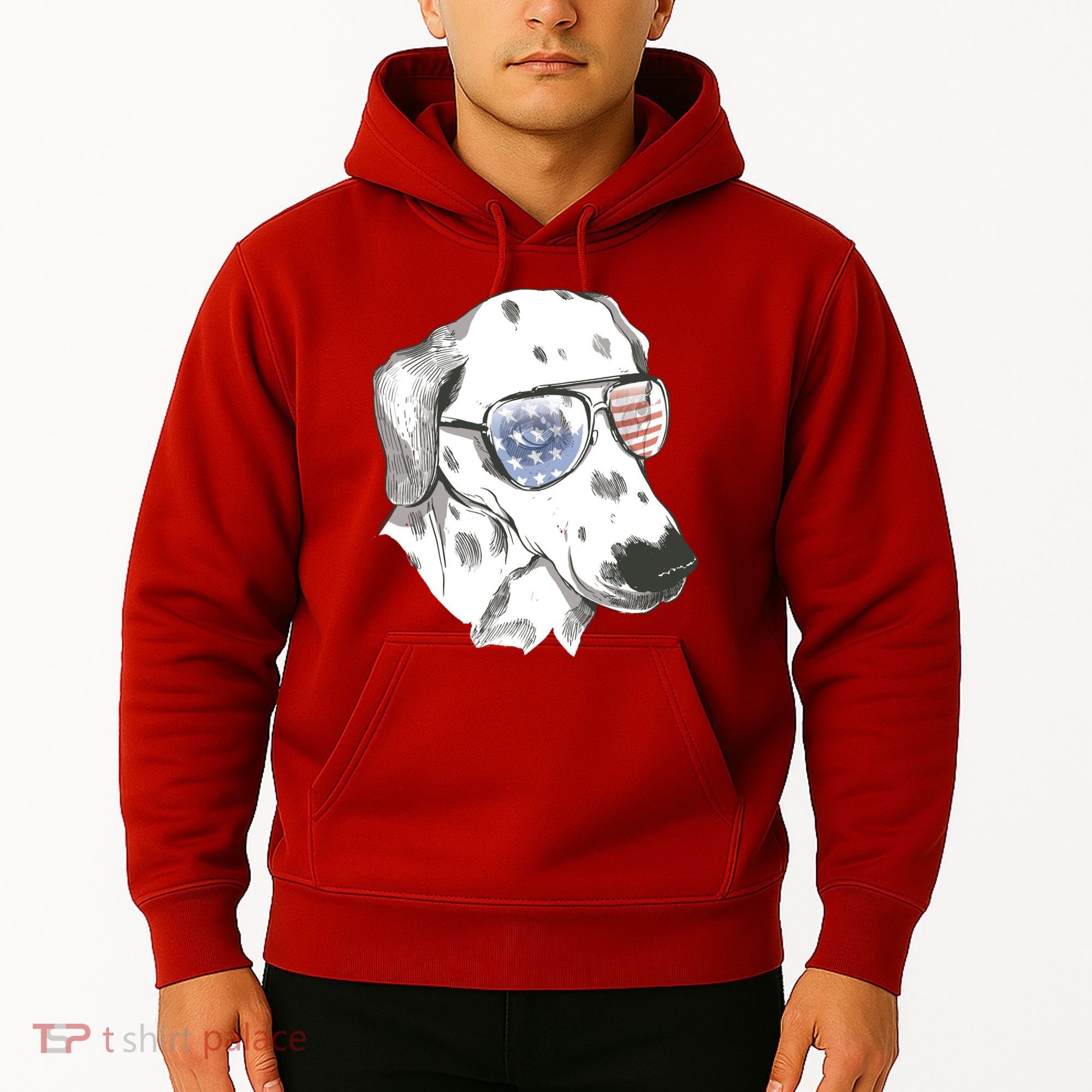Independence Day Dalmatian Dog Hoodie