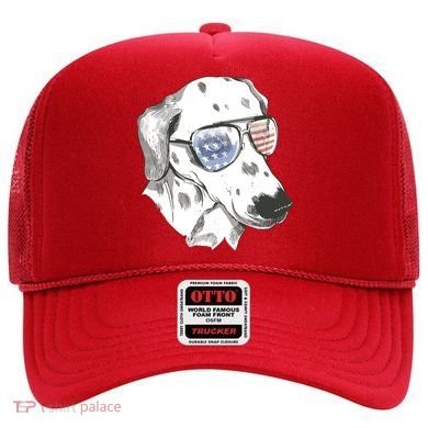 Independence Day Dalmatian Dog Hat