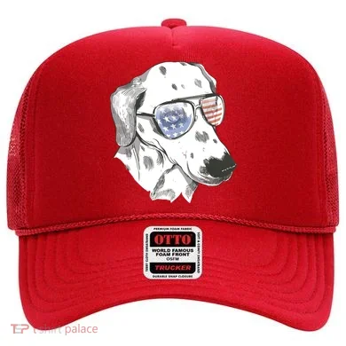 Independence Day Dalmatian Dog Hat