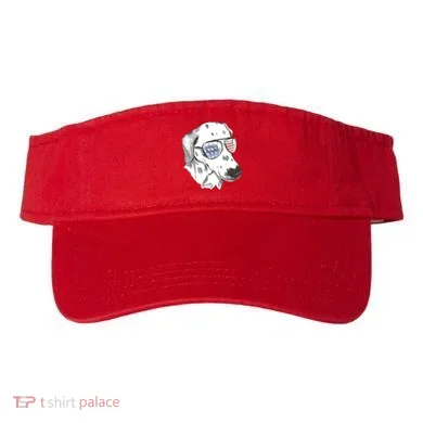 Visor