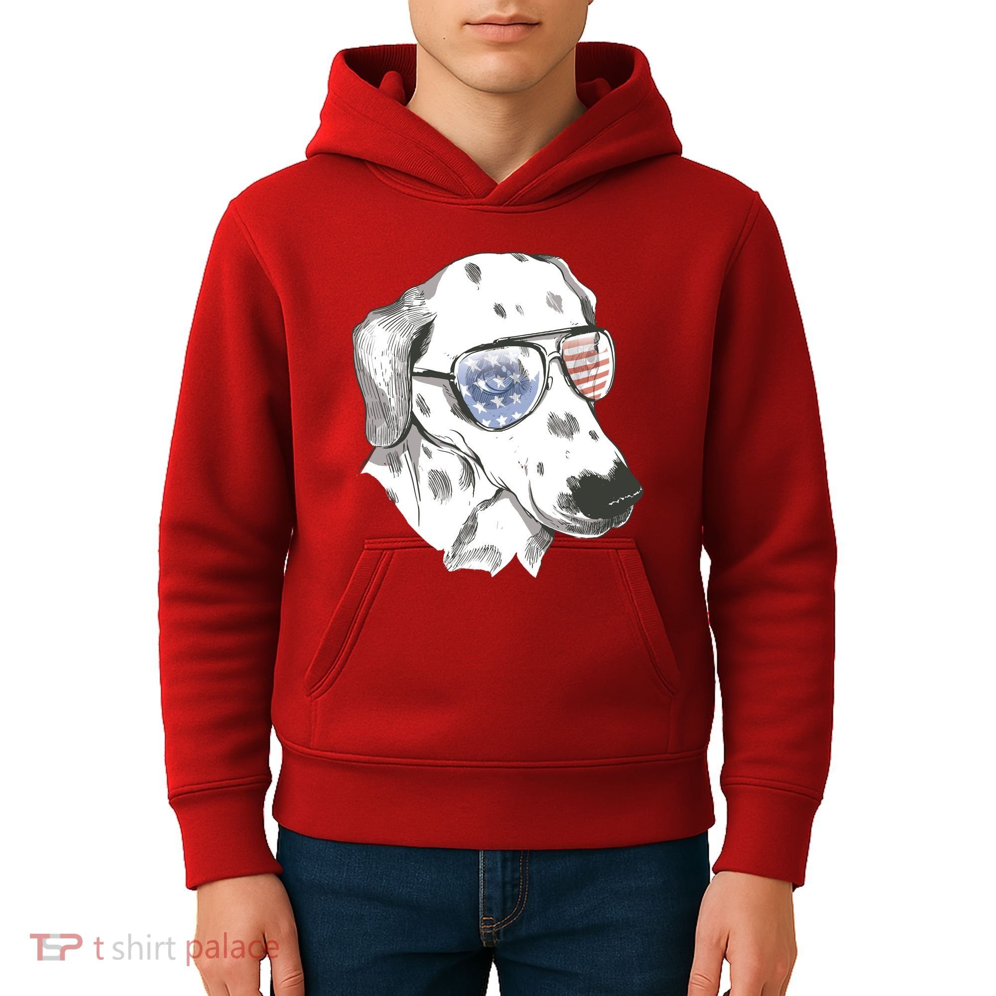 Independence Day Dalmatian Dog Kids Hoodie