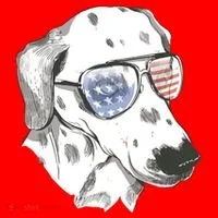 Independence Day Dalmatian Dog Kids Hoodie thumb 5