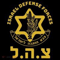 Israel Defense Forces  IDF  Israeli Military Army  Tzahal  Coffee Mug thumb 5
