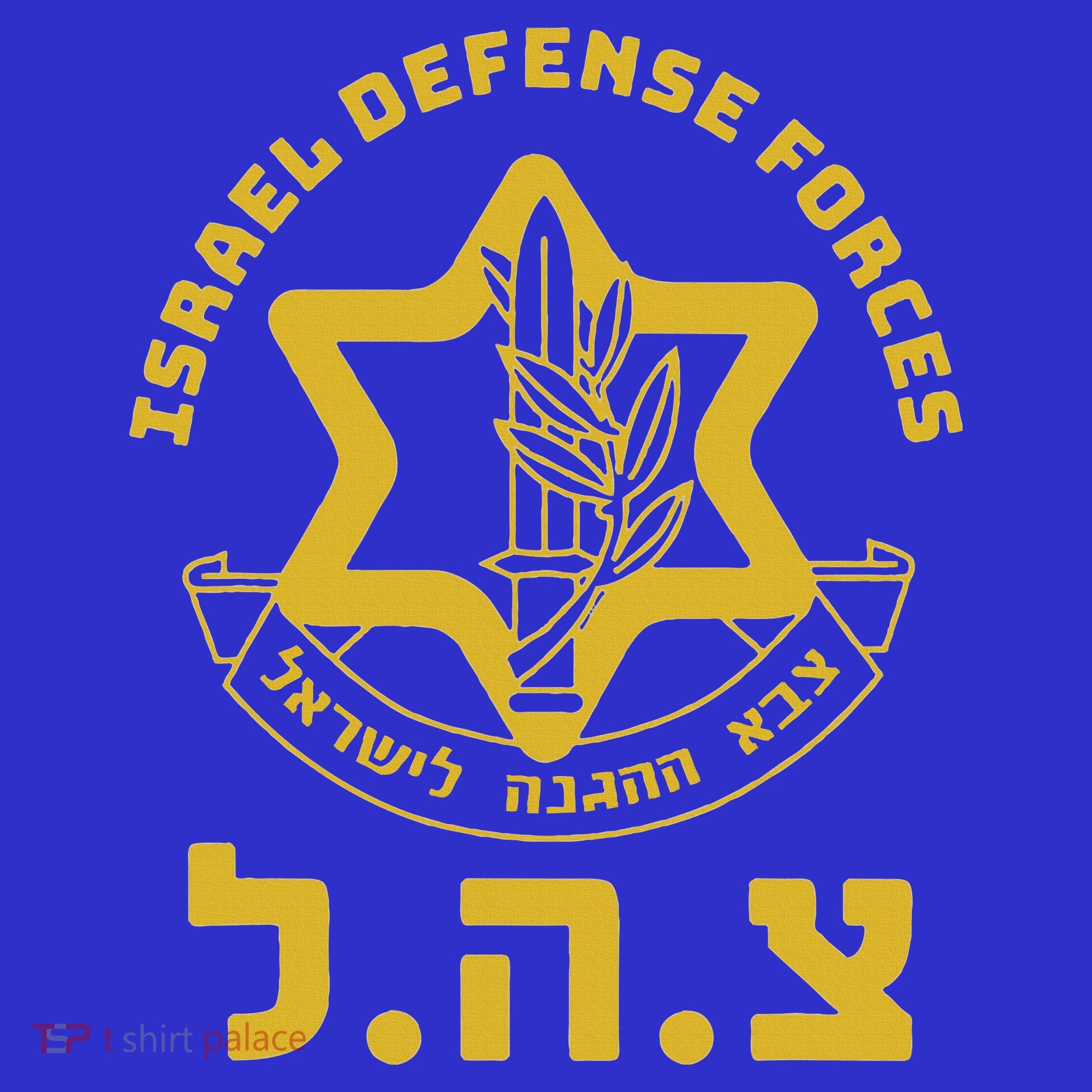 Israel Defense Forces  IDF  Israeli Military Army  Tzahal  Visor