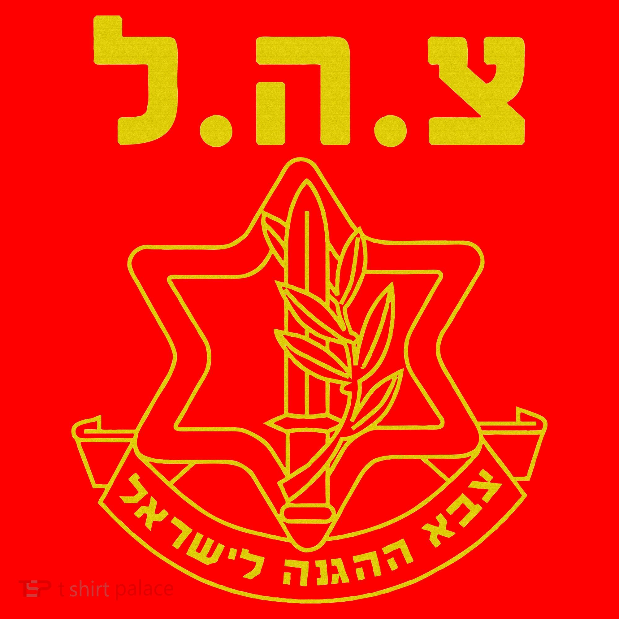 Israel Defense Forces IDF Tzahal  Santa Hat