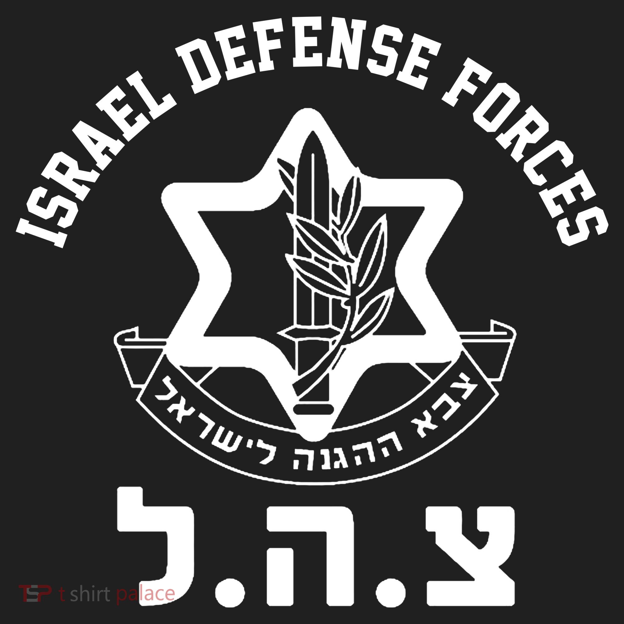 Israel Defense Forces Jewish Star Beanie