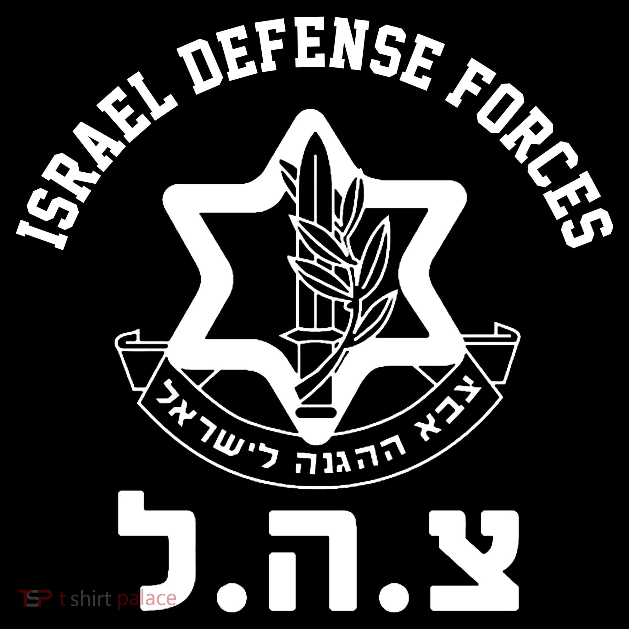 Israel Defense Forces Jewish Star Women's Hoodie