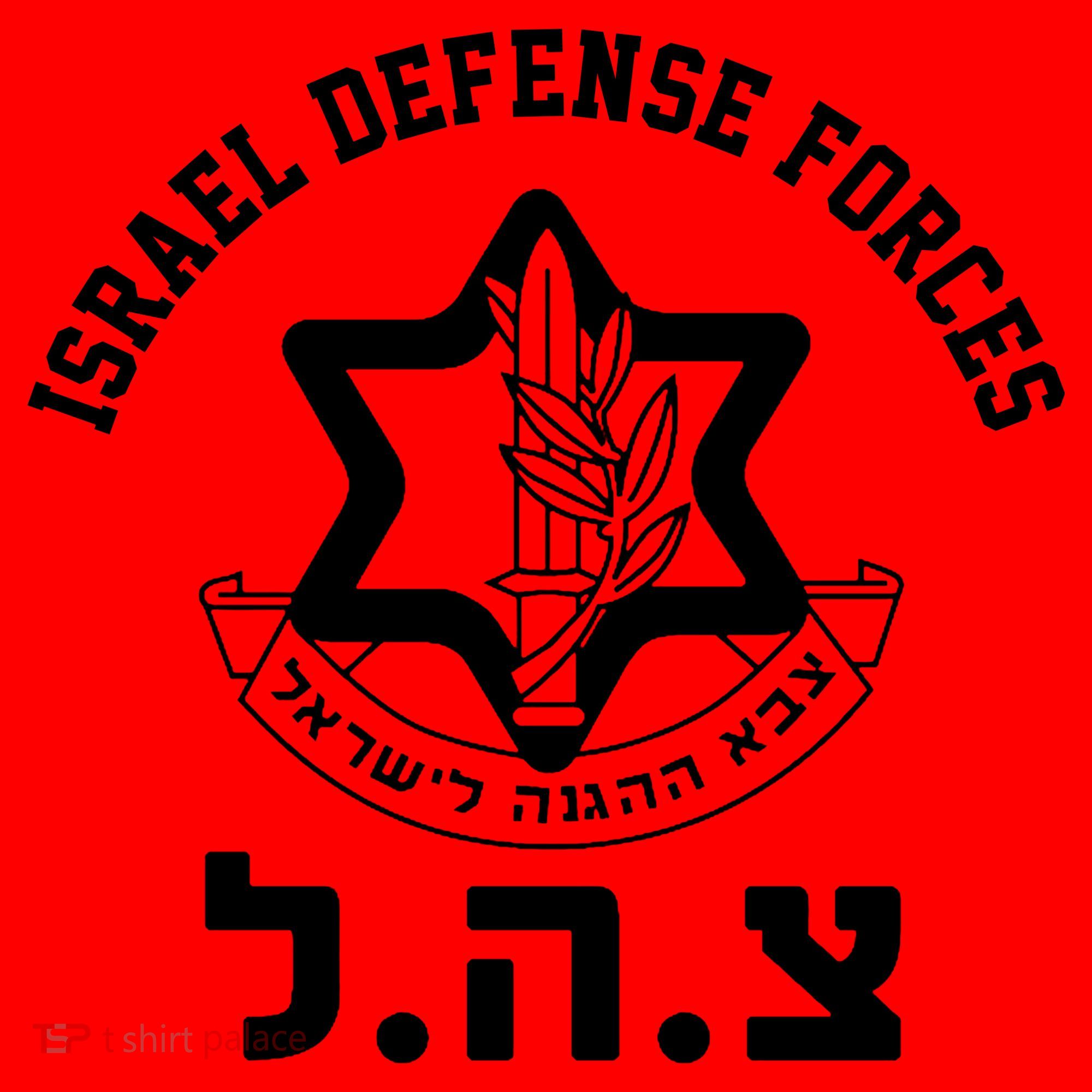 Israel Defense Forces Jewish Star Santa Hat