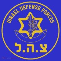 Israel Defense Forces Tumbler thumb 3