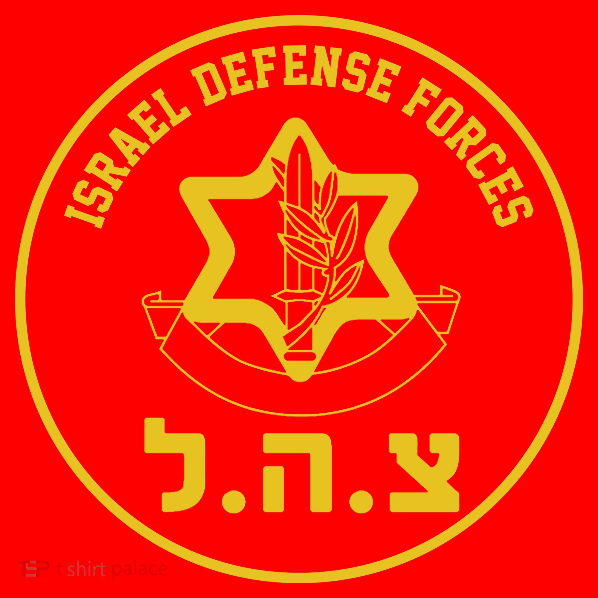 Israel Defense Forces Santa Hat