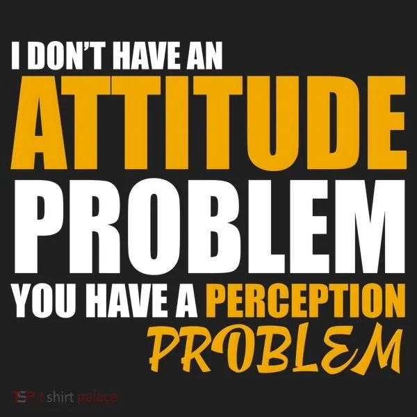 I Don't Have An Attitude Problem You Have A Perception Problem Tumbler