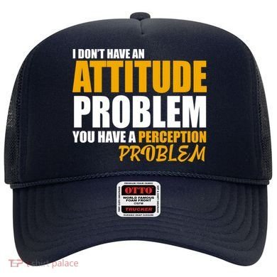 I Don't Have An Attitude Problem You Have A Perception Problem Hat