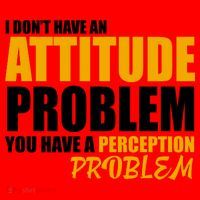 I Don't Have An Attitude Problem You Have A Perception Problem Santa Hat thumb 1