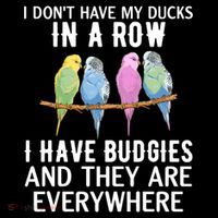 I Dont Have My Ducks In A Row Budgie Lover Parakeet Bird Gift Coffee Mug thumb 5