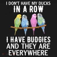 I Dont Have My Ducks In A Row Budgie Lover Parakeet Bird Gift Women's Hoodie thumb 2