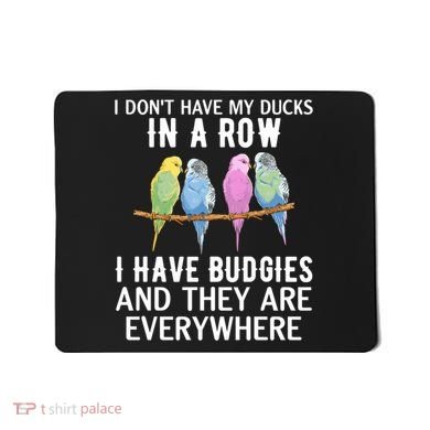 I Dont Have My Ducks In A Row Budgie Lover Parakeet Bird Gift Mousepad