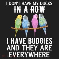 I Dont Have My Ducks In A Row Budgie Lover Parakeet Bird Gift Hat thumb 2
