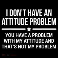 I Don't Have An Attitude Problem Funny Sarcasm Women's Long Sleeve Shirt thumb 2