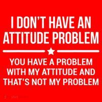 I Don't Have An Attitude Problem Funny Sarcasm Tee Santa Hat thumb 1