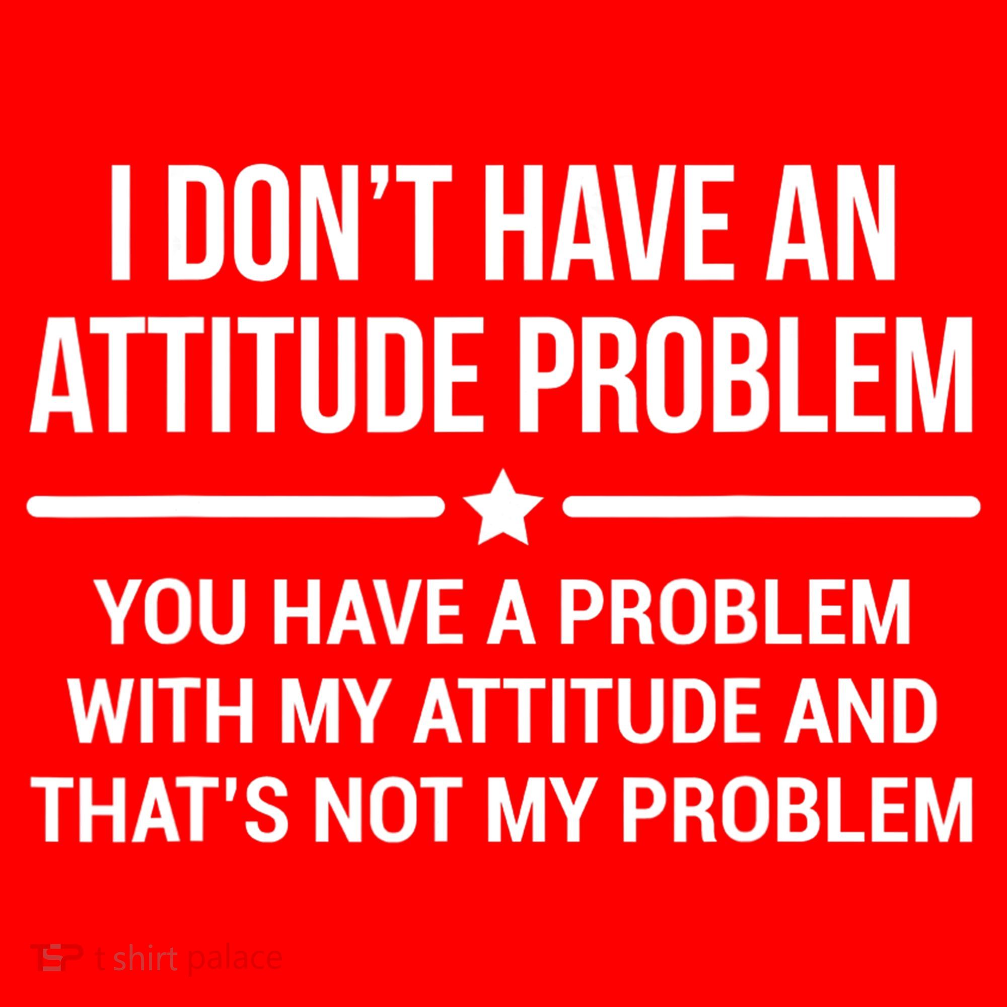 I Don't Have An Attitude Problem Funny Sarcasm Tee Santa Hat
