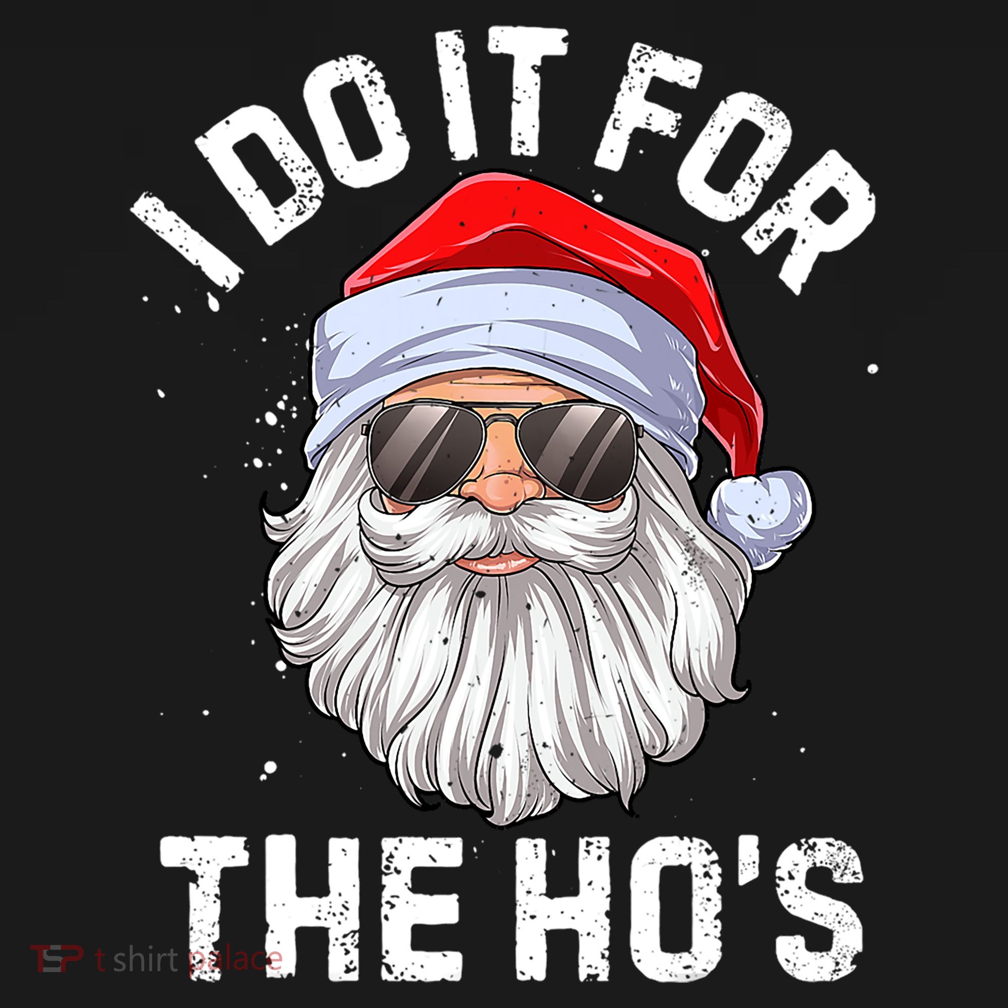 I Do It For The HoS Funny Inappropriate Christmas Santa Gift Women's Hoodie