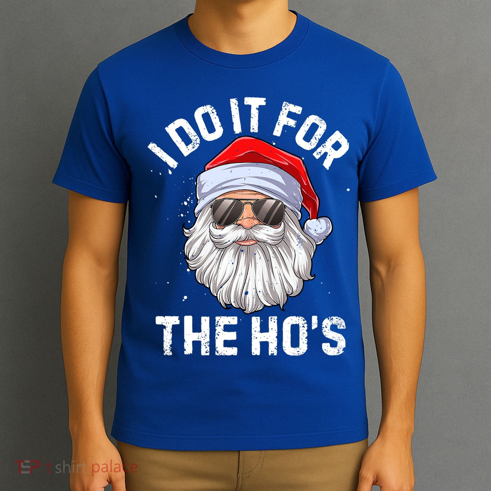 I Do It For The HoS Funny Inappropriate Christmas Santa Gift T-Shirt