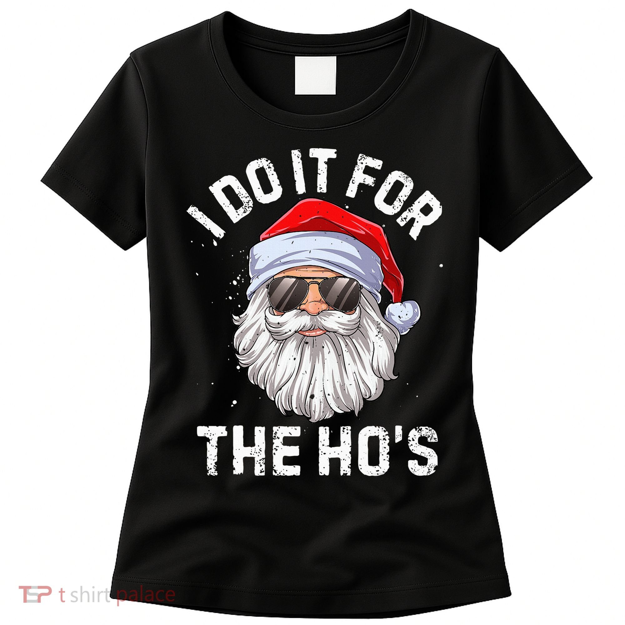 I Do It For The HoS Funny Inappropriate Christmas Santa Women's T-Shirt
