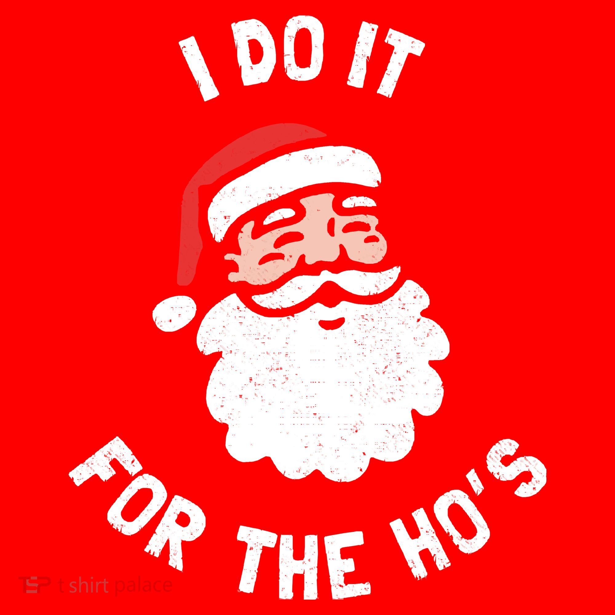 I Do It For The Ho&39;s Funny Christmas Santa Hat