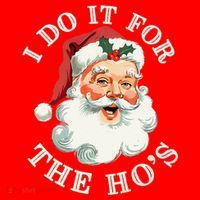 I Do It For The Hos Funny Inappropriate Christmas Santa Face Gift Santa Hat thumb 1