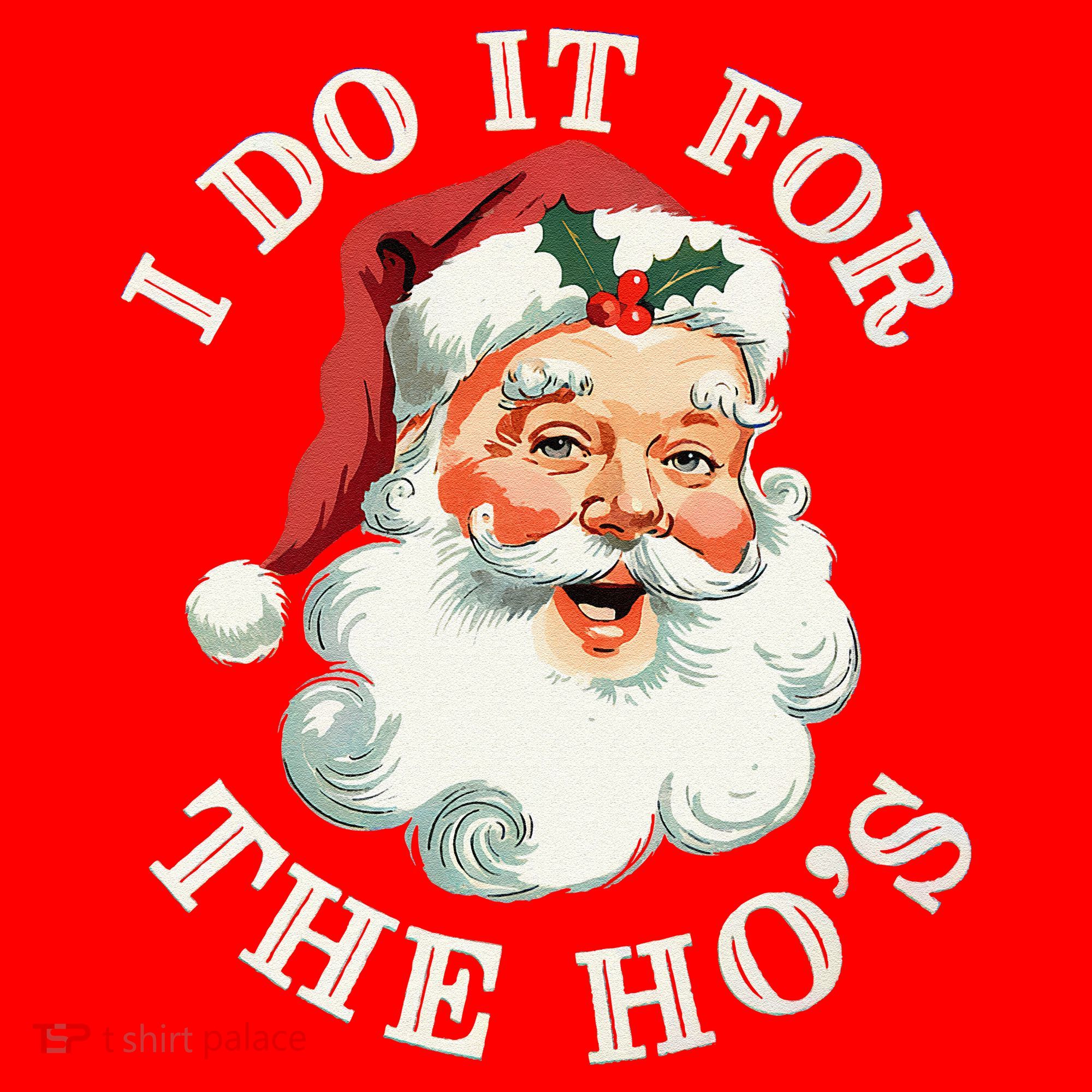 I Do It For The Hos Funny Inappropriate Christmas Santa Face Gift Santa Hat