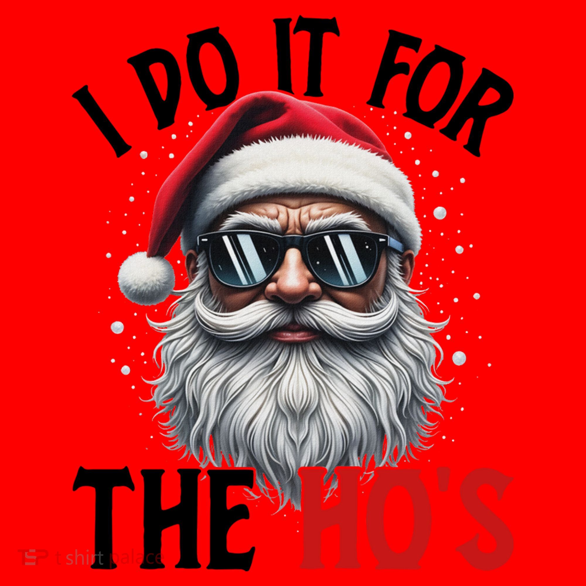 I Do It For The Hos Funny Christmas Santa Claus Santa Hat