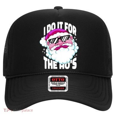 I DO It For The Ho's Funny Santa Claus Hat