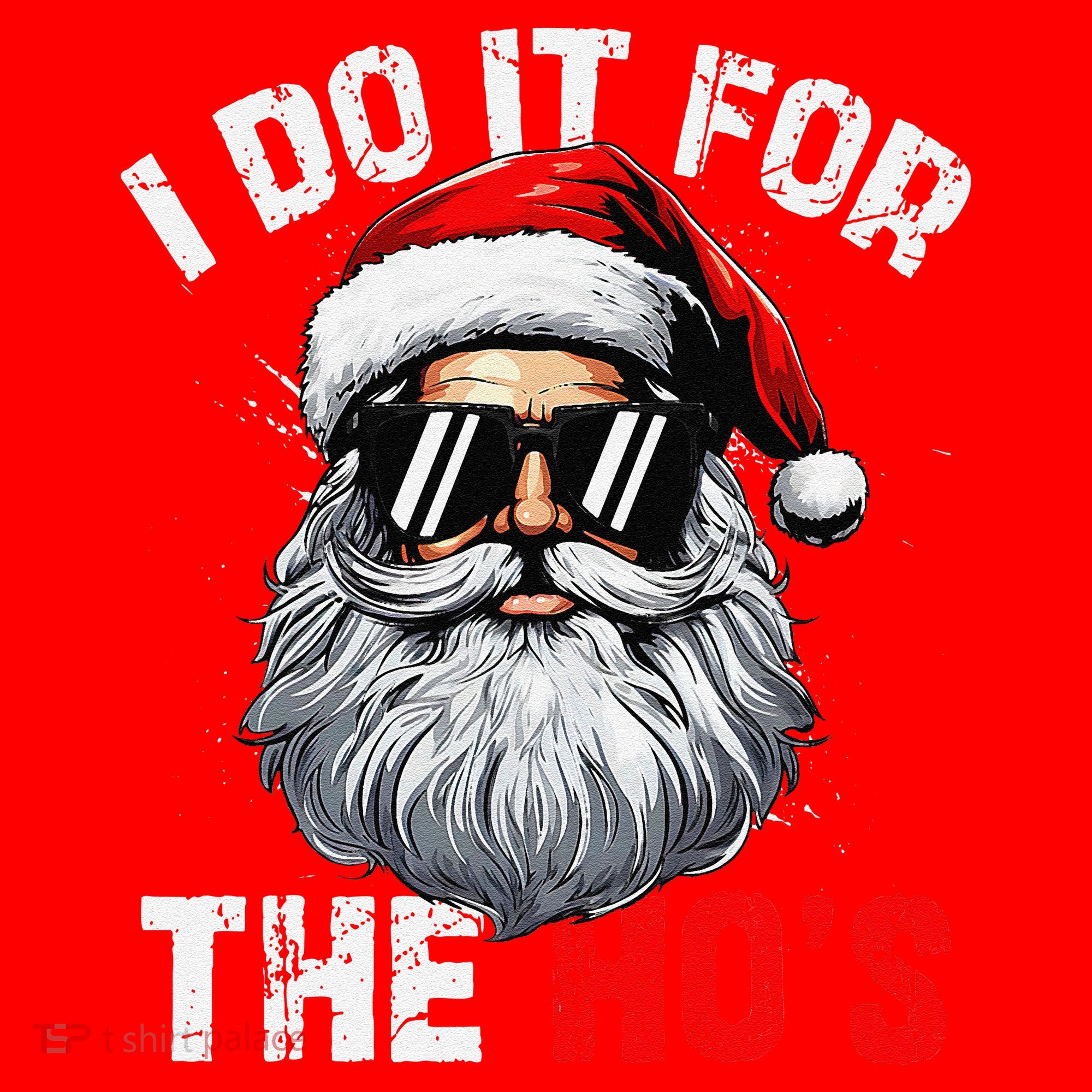 I Do It For The Hos Funny Inappropriate Christmas Santa Face Santa Hat