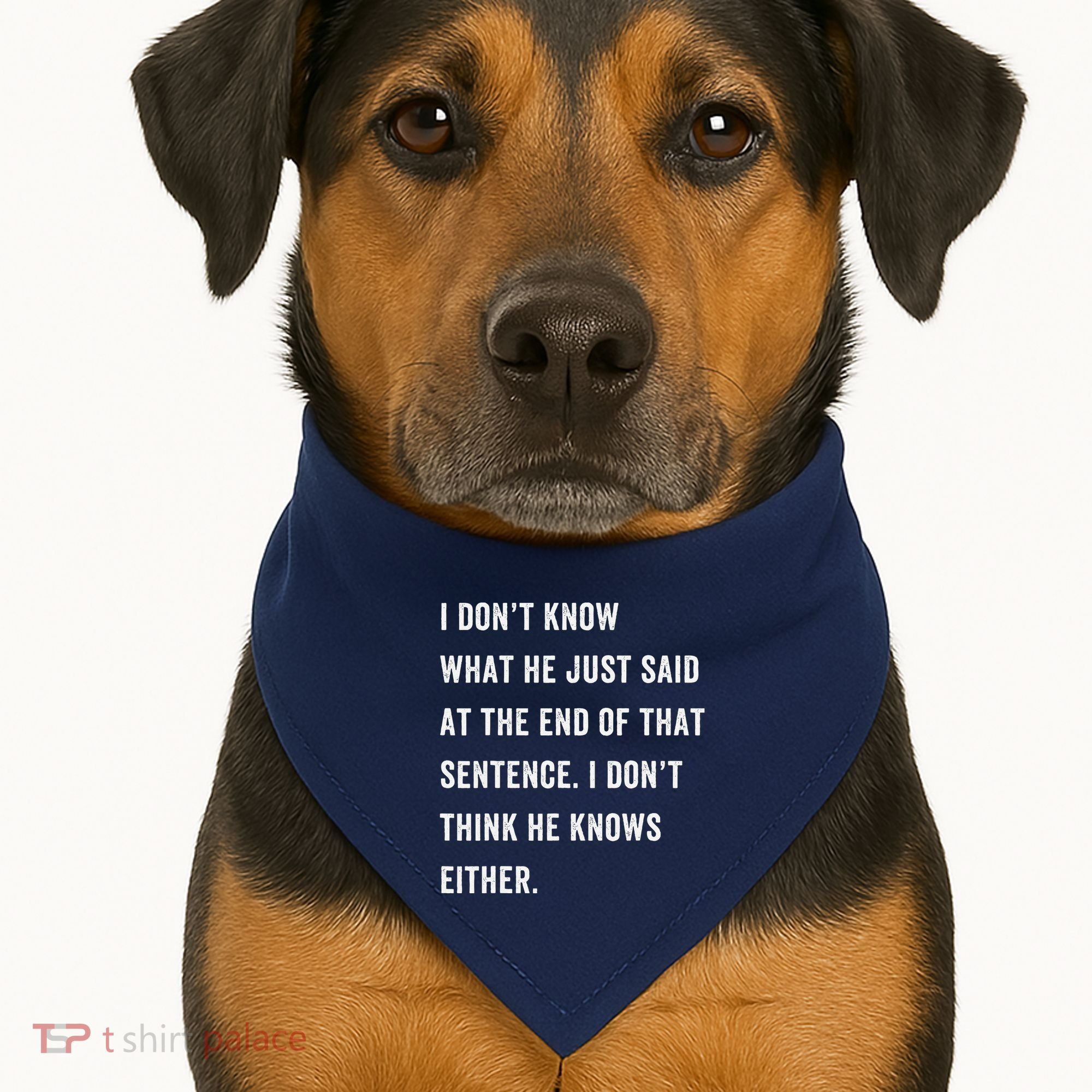 I Don’T Know What He Just Said At The End Of That Sentence USA-Made Doggie Bandana