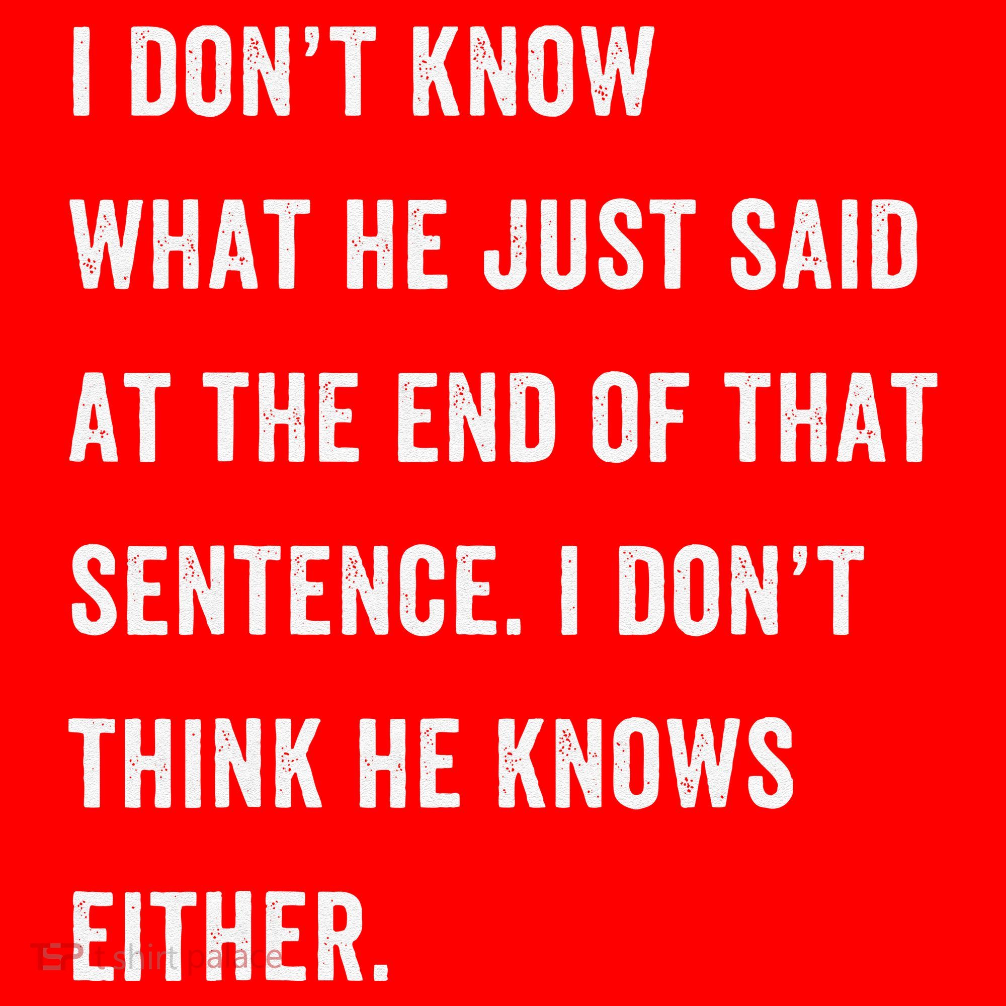 I Don’T Know What He Just Said At The End Of That Sentence Santa Hat