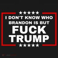 I DonT Know Who Brandon Is But Fuck Trump Anti Trump Hoodie thumb 7