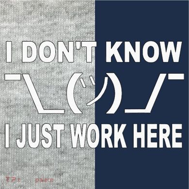 I Dont Know I Just Work Here Kids Colorblock Raglan Jersey