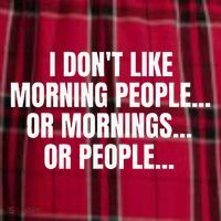 I DonT Like Morning People Or Mornings Funny Quote Men's Flannel Plaid Pajama Pants thumb 2
