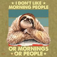 I Don´t Like Morning People Or Mornings Or People Sloth Gift Garment-Dyed Women's Muscle Tee thumb 6