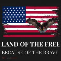 Independence Day Land Of The Free Because Of The Brave Gift Women's Hoodie thumb 2