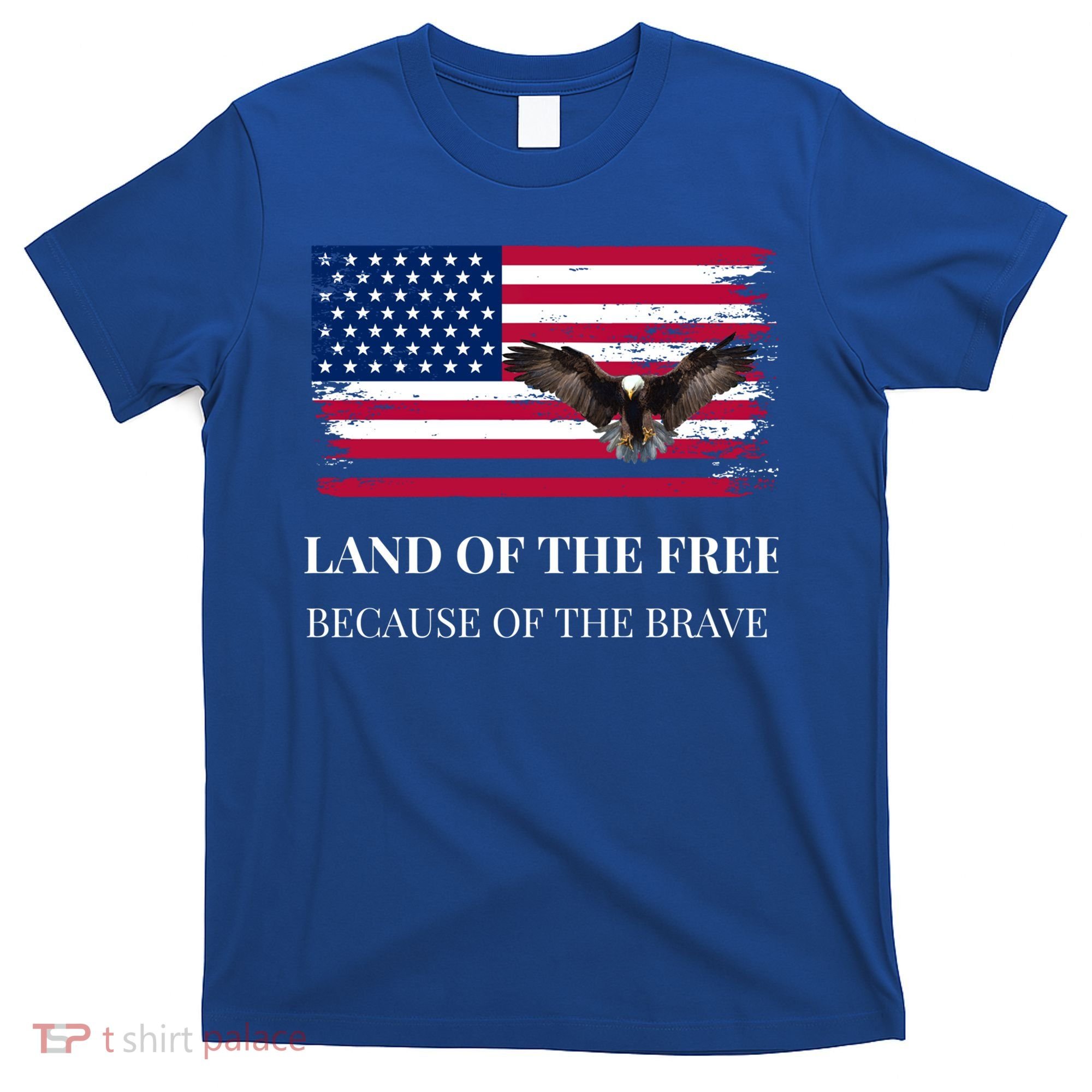 Independence Day Land Of The Free Because Of The Brave Gift T-Shirt