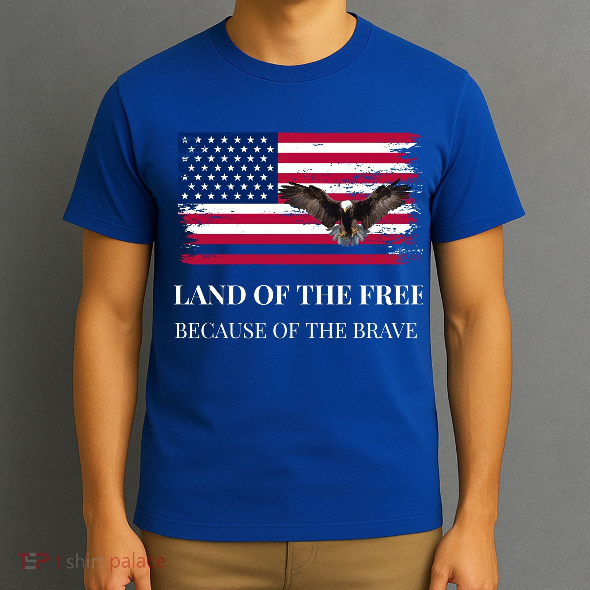 Independence Day Land Of The Free Because Of The Brave Gift T-Shirt