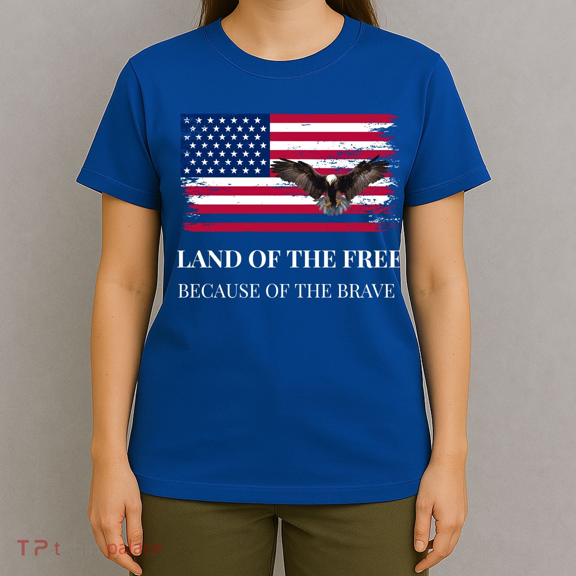 Independence Day Land Of The Free Because Of The Brave Gift T-Shirt
