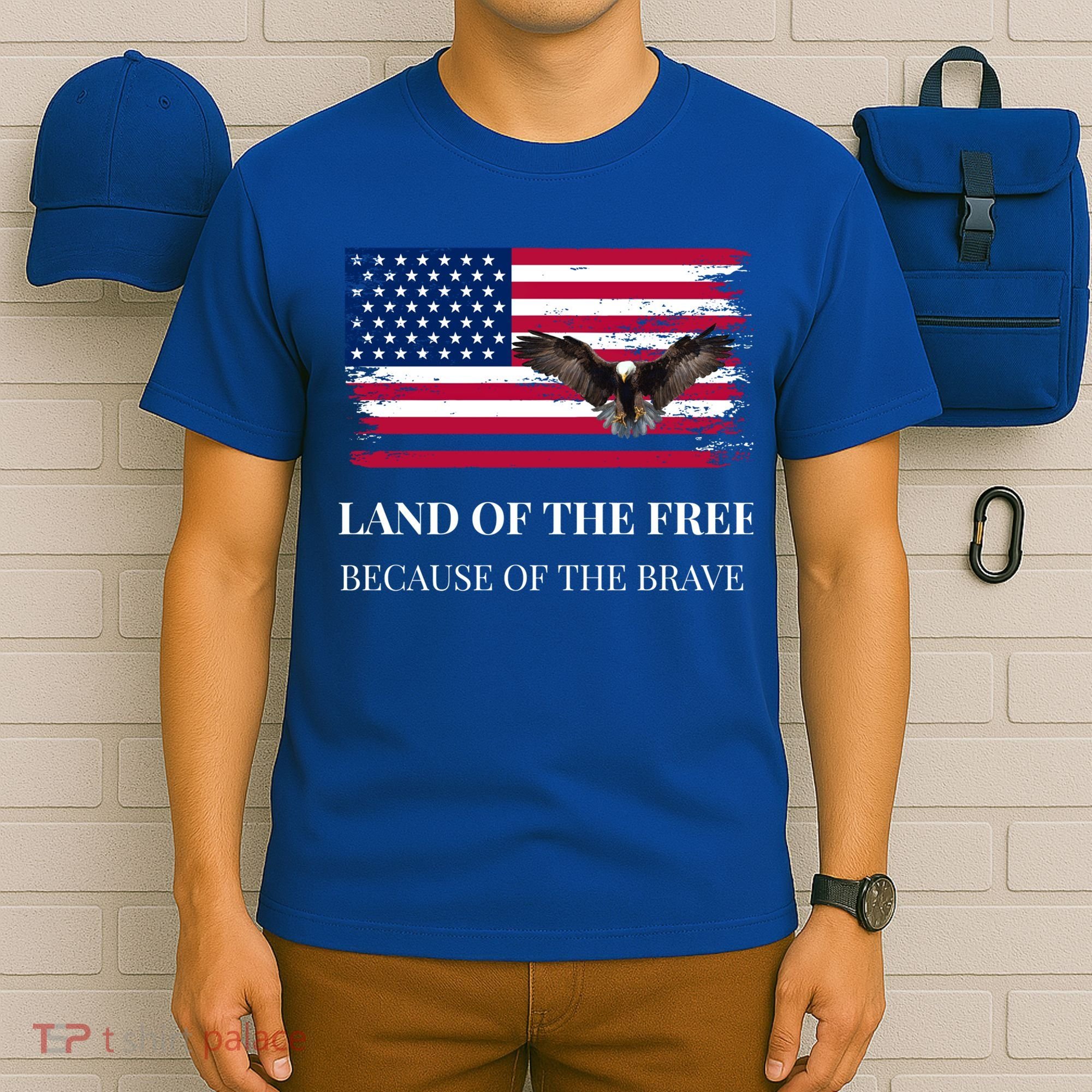 Independence Day Land Of The Free Because Of The Brave Gift T-Shirt